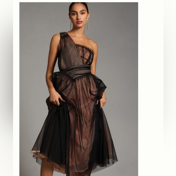 Anthropologie Tulle Pot Maxi Dress Sz 6 - Picture 2 of 4